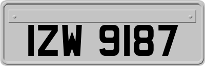 IZW9187