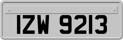 IZW9213