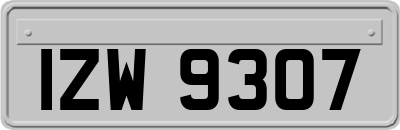 IZW9307