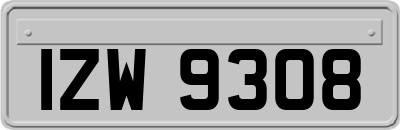 IZW9308