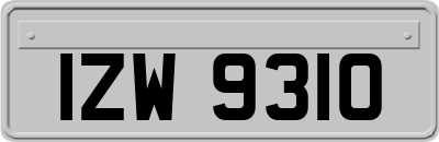 IZW9310