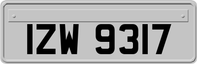 IZW9317