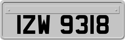 IZW9318