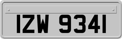IZW9341