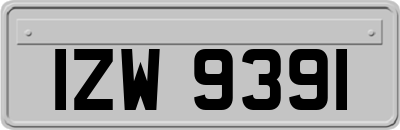 IZW9391
