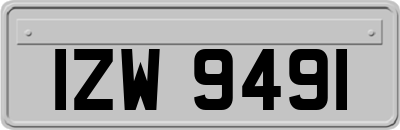 IZW9491