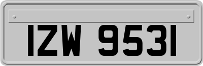 IZW9531