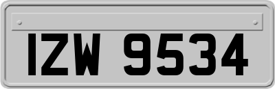 IZW9534