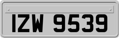 IZW9539