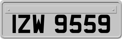 IZW9559