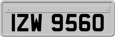 IZW9560