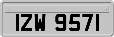 IZW9571