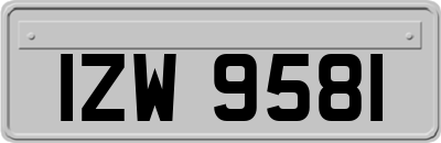 IZW9581