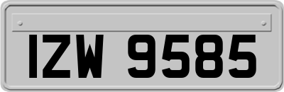 IZW9585