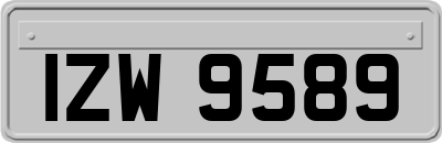 IZW9589