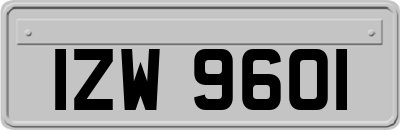 IZW9601