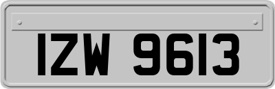 IZW9613