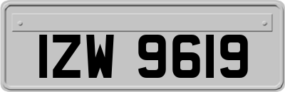 IZW9619