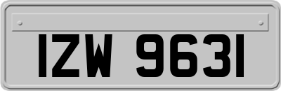 IZW9631