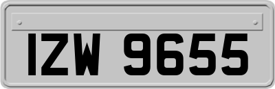 IZW9655