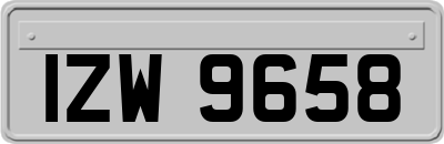 IZW9658