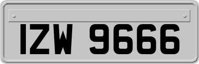 IZW9666