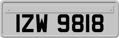 IZW9818