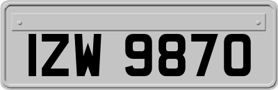 IZW9870