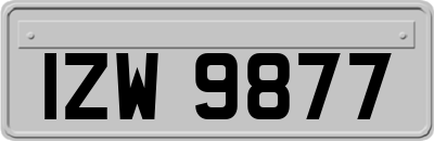 IZW9877