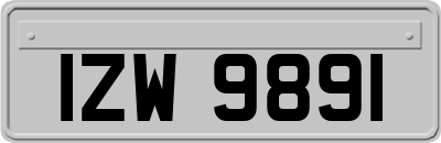 IZW9891