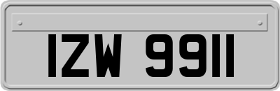 IZW9911