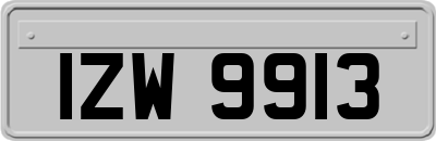 IZW9913