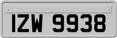 IZW9938