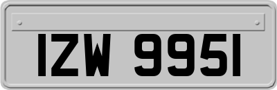 IZW9951
