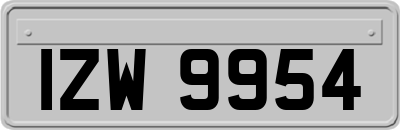 IZW9954