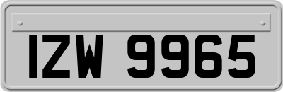 IZW9965