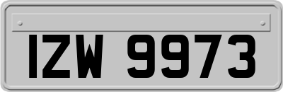 IZW9973
