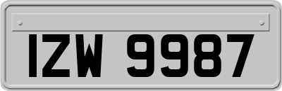 IZW9987