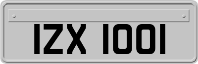 IZX1001