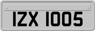 IZX1005