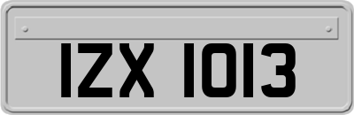 IZX1013
