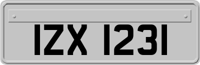 IZX1231