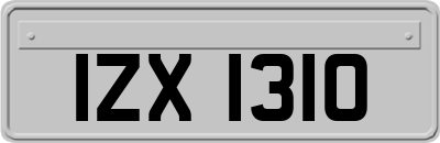 IZX1310