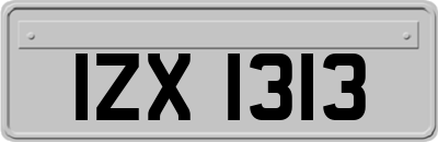 IZX1313