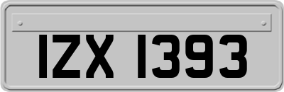 IZX1393