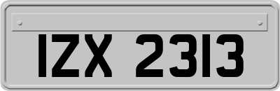 IZX2313