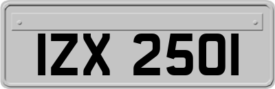 IZX2501