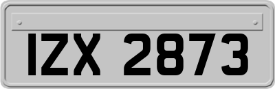IZX2873