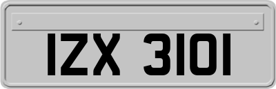 IZX3101