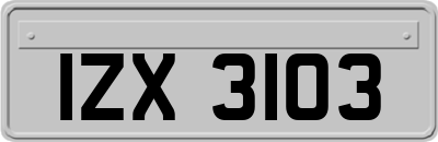 IZX3103